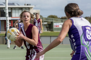 Swans show dominance