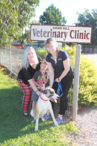 Encouraging responsible pet ownership