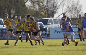 Tigers shake off Demons