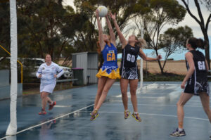Mallee Eagles take flight