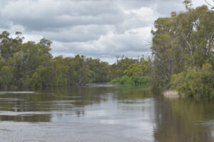 Victoria should opt in, says irrigator