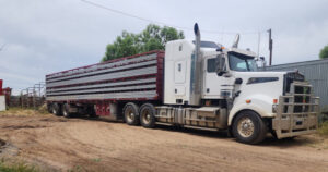 A nervous wait for dairy farmers