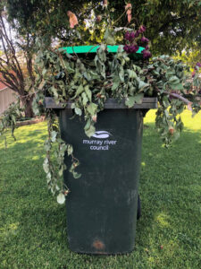 No plans to scrap council food and organic waste collection