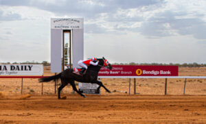 Madison’s saddling up