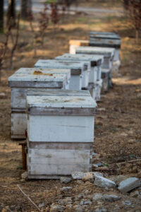 Importers, not farmers, must pay for risks