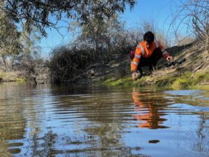 Caring for Country with ancient knowledge