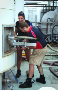 Long-term backpackers help with wine harvest