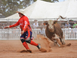 Rodeo rides into Berri