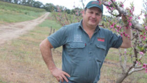 Growers’ fly furore