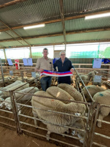 Kerang group dominates prime lamb competition