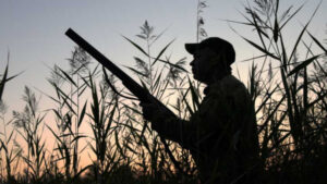 Conservationists shoot down government duck hunting ‘spin’