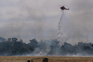 Air fleet set for summer