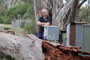 Lack of water infrastructure halting Wood Wood progress
