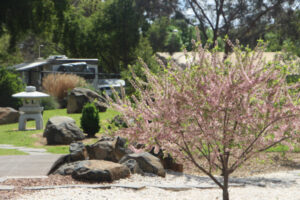 Springing towards more rain