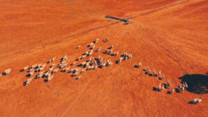 Hotter, drier over 30 years