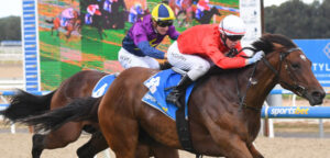 Seeing with Coffey goggles