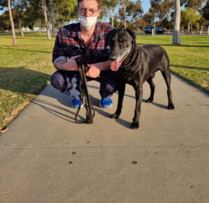 Swan Hill off-leash dog park is a hit with best friends