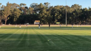 Junior cricket action at Nyah.