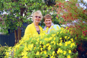 Flower enthusiasts open their garden