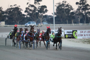 Trainer-driver duo rein supreme at Swan Hill