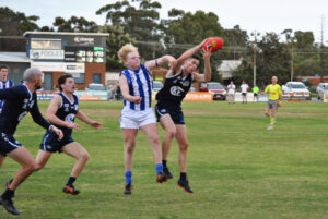 Roos become easy roadkill for rampaging Kerang