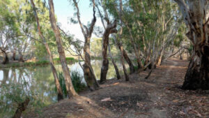 Parks fishing ban bid rejected