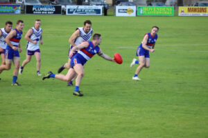 Tyntynder shock sluggish Cohuna Kangas