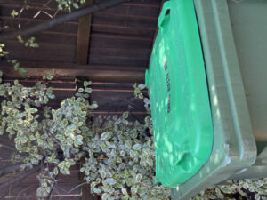 Free green waste drop-off success