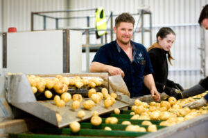 Eyes on future for hot potatoes