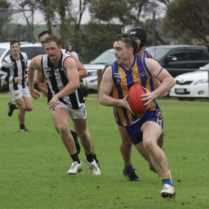 Magpies raid Eagles nest