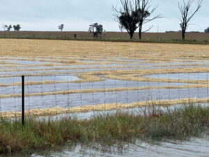 Less than ideal rain slows hay baling