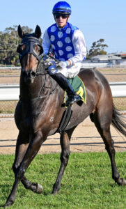 ‘Spectacular’ track for Cup