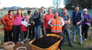 Blitz plants seeds of success