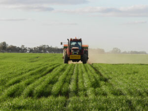 Eye on the sky after a dry July