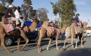 Awash with festive spirit