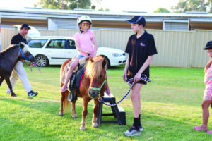 Girls night at trots