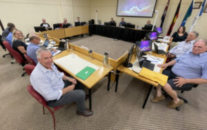 MP makes council visit