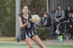 We need you! Calling all netball coaches