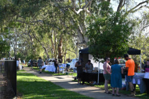 Shoppers enjoy twilight market