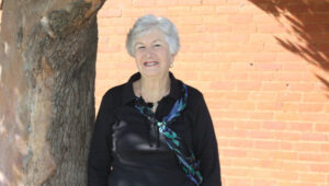 Councillors consider ‘all options’ for shire offices