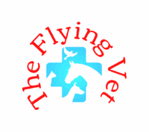 Flying vet visits Thursday