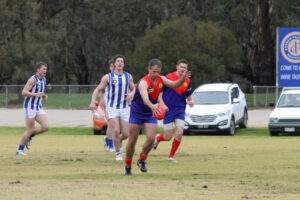 Dees survive winter blast to beat Balranald