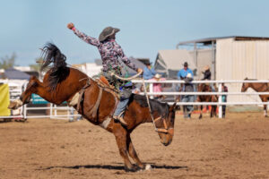 In the saddle for Murrabit rodeo