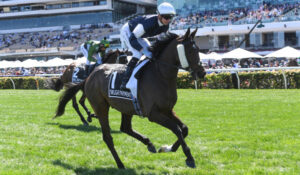 Local jockeys run a fine race in the Cup