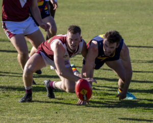 Phelan’s five inspires the Swans