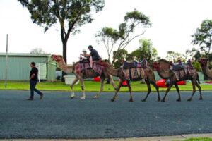 Christmas carnival in the Nyah district