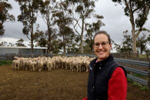 Preparing your sheep for joining