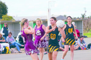 Tigers, Swans go for glory