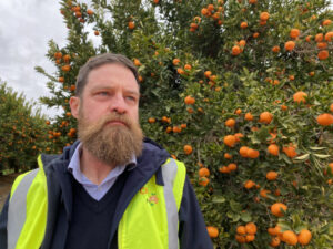 Citrus concern over buybacks