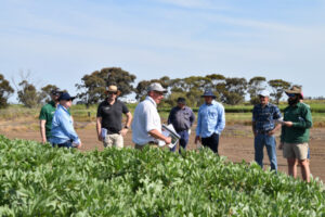 Seeds of knowledge at Field Day